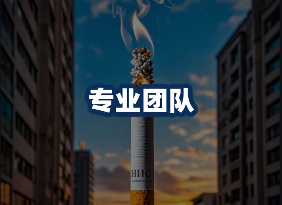 专业团队