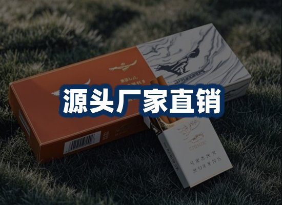 专业团队办公环境